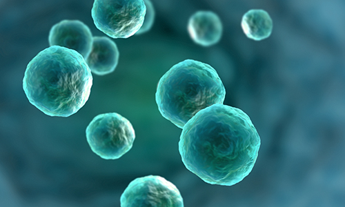 【汇总】细胞培养常见问题