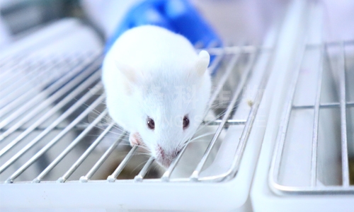 动物实验对人类医学的意义