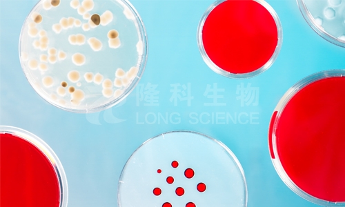 原代细胞培养注意事项