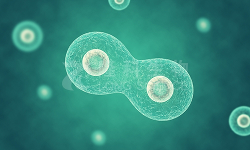 细胞划痕实验原理及步骤