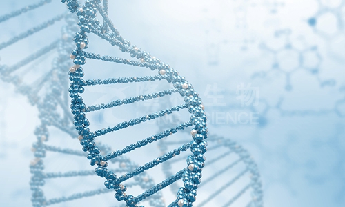 SNP检测：解读基因的密码