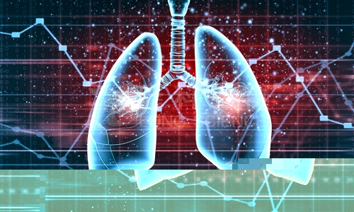 肺纤维化模型的动物选择