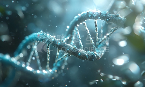 转录组学和蛋白质组学的区别