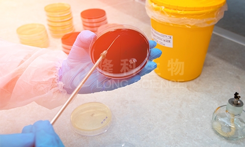 抑菌实验技术方法及流程