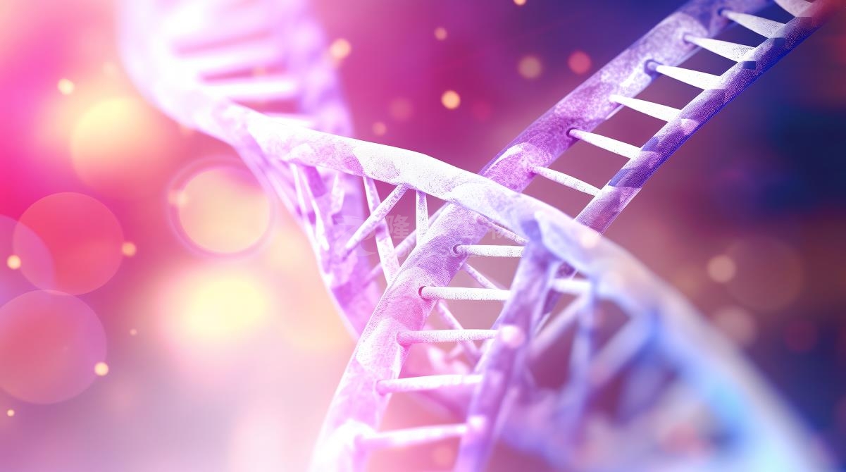 单细胞转录组测序分析技术服务