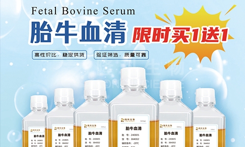 胎牛血清
