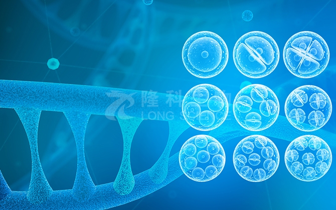 细胞迁移实验：划痕法 vs Transwell，从原理到选型的终极指南